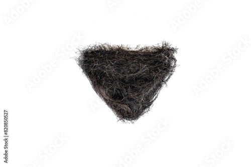 pubic hair fall isolated on white background