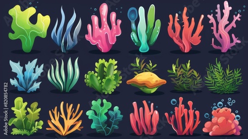 A cartoon of seaweed and coral. Modern illustration collection showing a different type of underwater ocean plant or reef. Tropical marine life at the bottom of an aquarium. exotic undersea flora