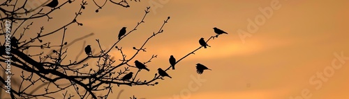Birds migrating at unusual times, silhouetted against a dusky sky, disrupted patterns due to temperature changes