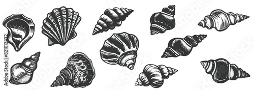 Seashell set with monochrome vintage photocopy effect, y2k collage design. Stipple halftone retro design elements. Vector for grunge punk surreal poster