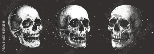 Trendy grunge texture human skull set with a retro halftone grain effect. Y2k vintage elements for design for vintage emo gothic art banner, rock music poster, album cover 