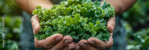 Fresh Greens Harvested by Farmers Generative AI