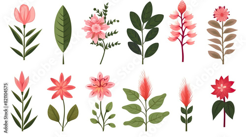 Plants with exotic blooms isolated on a white background