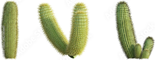 Ferocactus pilosus cactus 4k png cutout isolate