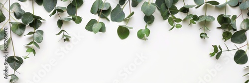 Fresh Eucalyptus Leaves Frame for Herbal Decoration Generative AI