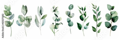Watercolor Botanic Illustration of Wild Flowers and Herbs for Nature Inspired Designs Generative AI