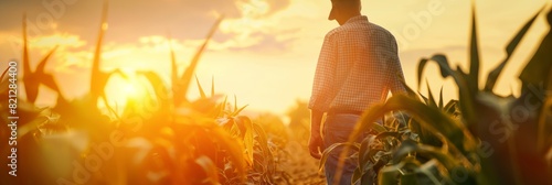A farmer stands in a cornfield during sunset, contemplating the crops and agriculture