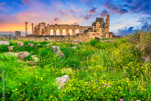 Volubilis, Morocco: The outer wall of the civil basilica, faced with Corinthian columns in the sunset lights; Historical city of Roman Mauretania, North Africa travel destination