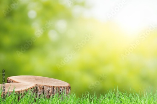 Wood podium in outdoors garden forest