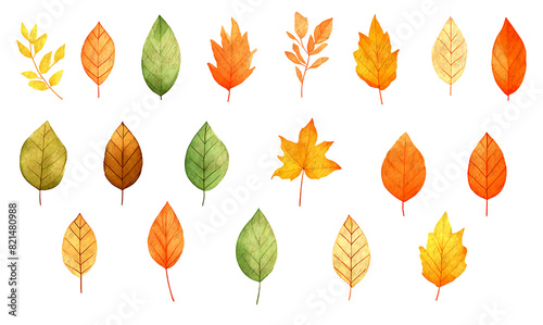 秋の紅葉 葉っぱ 背景透過 水彩イラストセット 