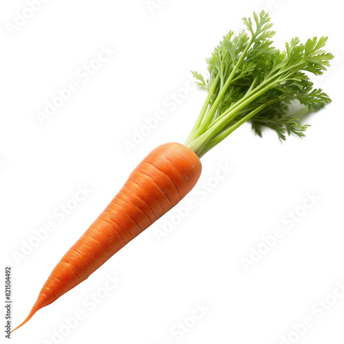 A carrot is shown with its green top still attached