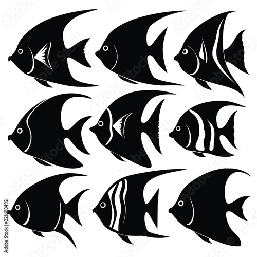 Set of Angelfish black Silhouette Vector on a white background