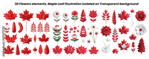 3D flowers elements, maple leaf illustration vector isolated on transparent background