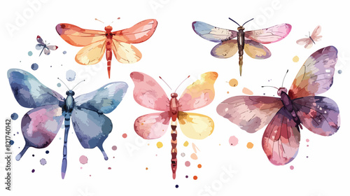 Four of butterfly dragonfly watercolor hand drawing.