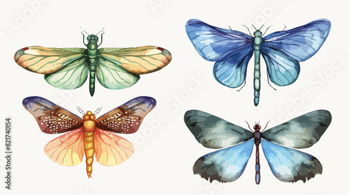 Four of butterfly dragonfly watercolor hand drawing.