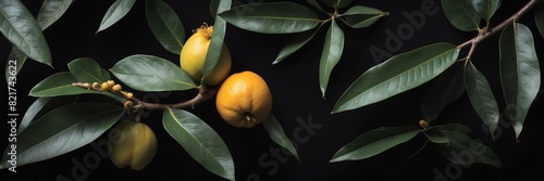 loquat fruits and leaves on plain black background from Generative AI