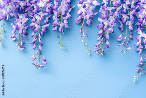 rami di fiori di glicine viola pendenti su sfondo azzurro