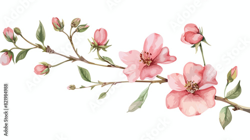 Watercolor pink flower and branch with buds vintage 