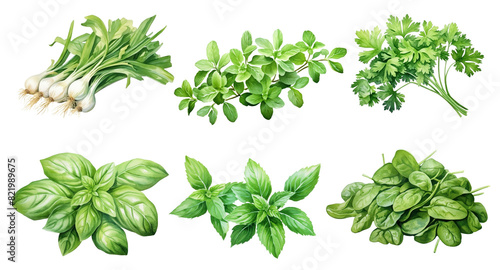 Green leafy vegetables png element set on transparent background