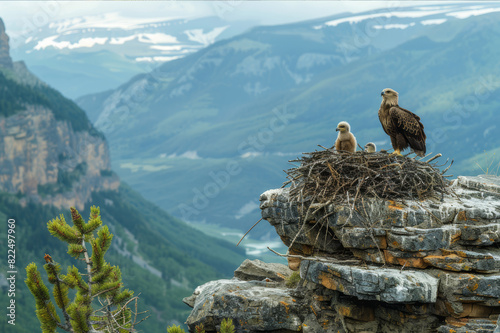 Eagle's nest perched high on a rocky cliff with mountainous landscapes in the background, eaglets eagerly awaiting feeding.. AI generated.