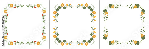 Set of three vegetal vector frames with nasturtium yellow flowers. Square frames. Vector frame for all sizes and formats. Isolated vector illustration.