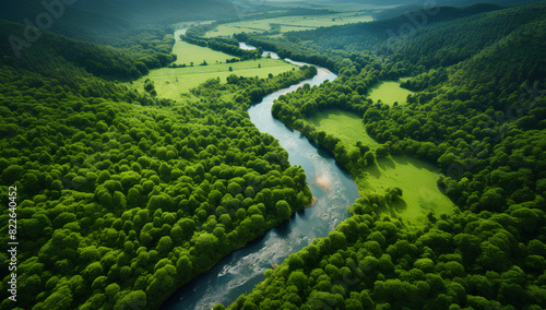 River and green forest in Tuchola natural park, aerial view 