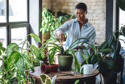 Relaxing leisure hobby concept, spring home gardening. Young African American housewife taking care of potted plants and flowers, watering. Cozy modern interior, freelance, house activity