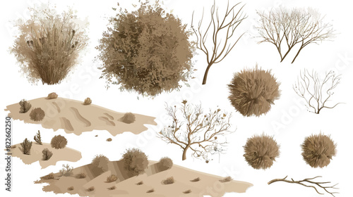 Detailed botanical illustrations of tumbleweeds and wild grasses - perfect for vintage and rustic themes