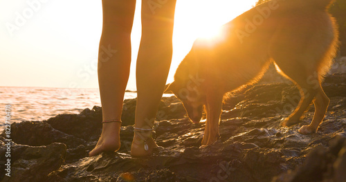 LENS FLARE, CLOSE UP: Legs of a woman and a dog while walking on a rocky beach in beautiful morning light. Golden sunbeams peek between their legs as they explore rugged shore by the Adriatic Sea.