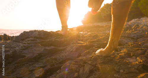 LENS FLARE, CLOSE UP: Rays of sun shine between legs of woman and dog on a relaxing beach walk in golden evening light. Rugged rocky shore glows as warm rays of setting sun reflect off the wet rocks.