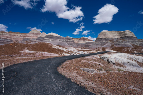 painted desert in the petrified forest, badlands, with a s curve road with blue skies and clouds, in Arizona