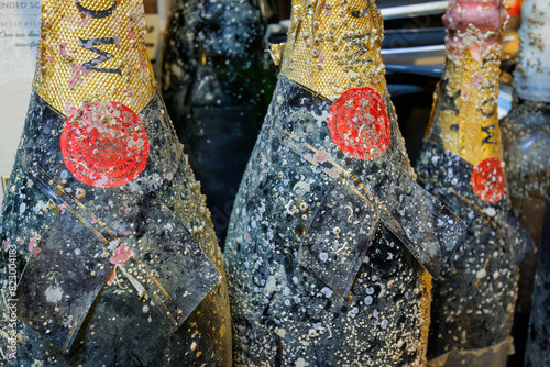 海底熟成シャンパン。 シャンパンを海の底に一年沈めたもの。 一定の水温と水圧で良い感じに熟成し美味しくなるらしい。 瓶の表面に海綿や貝などが付着して、見た目もおしゃれになる。 生け簀で活かされる生きたイカ料理で有名な和食店で晩ごはん。 熱海市,静岡県,日本国 - 2022年10月30日。 Undersea Aged Champagne. Champagne is submerged at the 