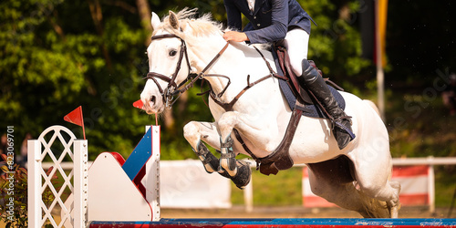 Horse, show jumping horse, close-ups at a tournament.