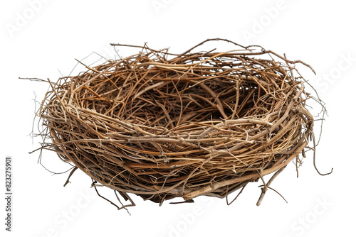 Empty bird nest isolated on white background