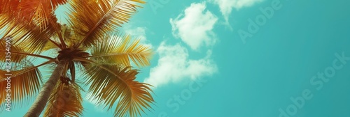 Green palms against blue sky background as vacation and summer holidays concept with copyspace for travel agency advertising campaign