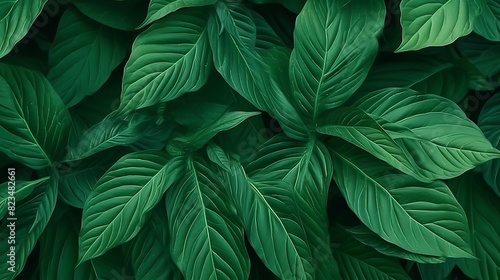 abstract background of green colored leaves with natural motifs