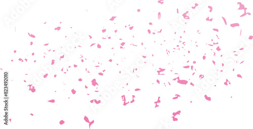 vector splashes and small fragments of pink cherry blossoms.