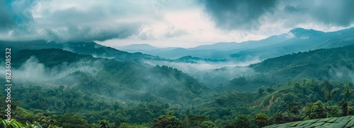 A panoramic view of the lush green mountains and coffee plantations