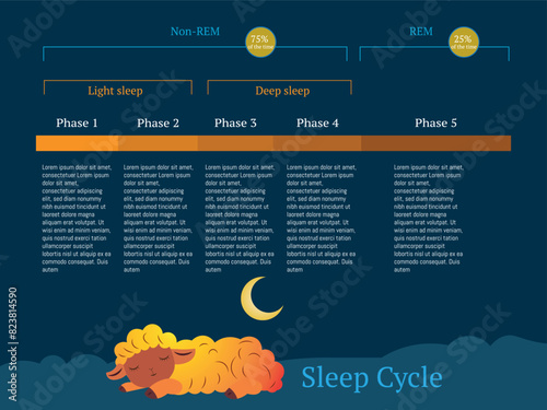 A sheep is sleeping in the middle of a sleep cycle.A sheep is sleeping in the middle of a sleep cycle. The cycle is divided into four phases: light sleep, deep sleep, REM sleep, and light sleep