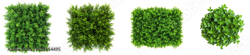 Top view hedge on transparent backgrounds 3d render png