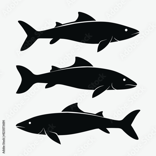 Set of Atlantic Salmon black silhouette vector on white background