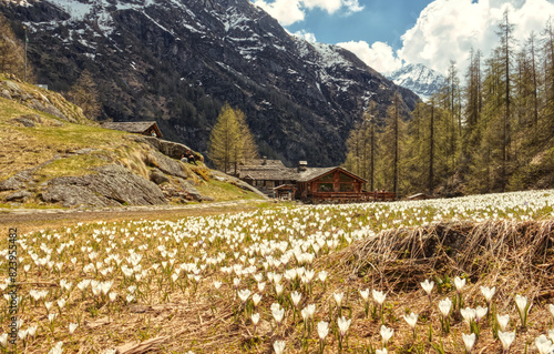 Pastore refuge, Alagna Valsesia.