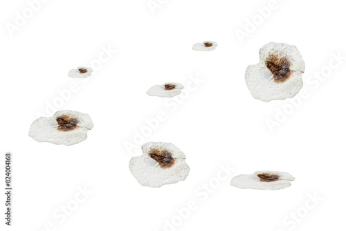 Bird droppings - on isolated transparent background.