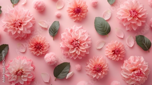Pastel pink background with blooming flowers and pom poms, Leaf foliage and petals, Creative floral mock up, Top view, Flat lay
