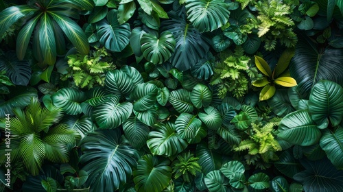 Background Tropical. Enveloped by verdant foliage, the rainforest's lush canopy acts as a testament to the power and beauty of nature, with its rich diversity and vibrant colors embodying.