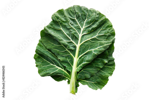 Collard greens isolated on white back ground