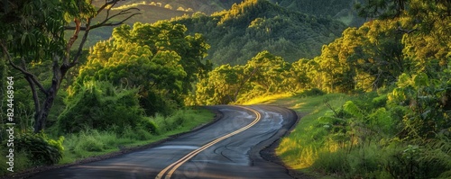 Scenic winding road through lush green forest with sunlight filtering through trees in a serene, picturesque landscape.