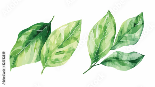 Watercolor green leaves separate hand painted leaf is