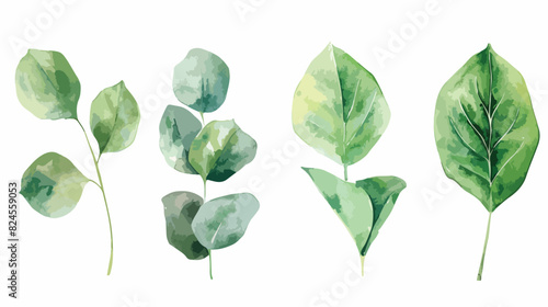 Watercolor tropical leaves Four . Botanical painting