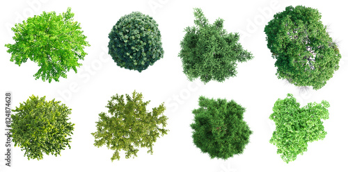Top view of various types of trees isolated on transparent background. 3D render.